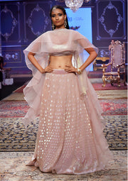 Women’s Pastel Pink Sequin Embroidered Lehenga Choli Set, Indian Ethnic Wedding & Festive Wear