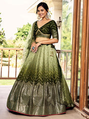 Women’s Sequin Embroidered Lehenga Choli Set with Net Dupatta, Silver Zari Work A-Line Ethnic Indian Traditional Party Wear Outfit (Copy) (Copy)