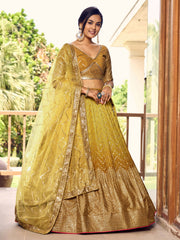 Women’s Sequin Embroidered Lehenga Choli Set with Net Dupatta, Silver Zari Work A-Line Ethnic Indian Traditional Party Wear Outfit (Copy) (Copy) (Copy)