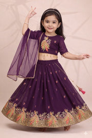 Girls Treditional Lehenga Choli Set with Dupatta