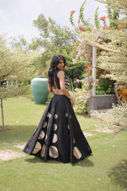 Women’s Lehenga Skirt with Mirror workSleeveless Blouse