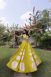 Women’s Lehenga Skirt with Mirror workSleeveless Blouse
