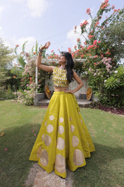 Women’s Lehenga Skirt with Mirror workSleeveless Blouse