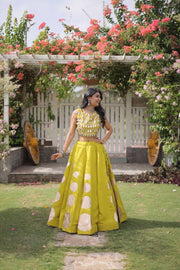 Women’s Lehenga Skirt with Mirror workSleeveless Blouse