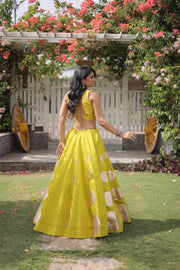 Women’s Lehenga Skirt with Mirror workSleeveless Blouse