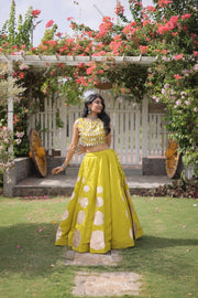 Women’s Lehenga Skirt with Mirror workSleeveless Blouse
