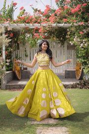 Women’s Lehenga Skirt with Mirror workSleeveless Blouse