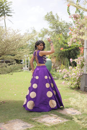 Women’s Lehenga Skirt with Mirror workSleeveless Blouse