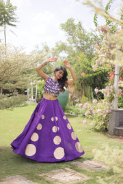 Women’s Lehenga Skirt with Mirror workSleeveless Blouse