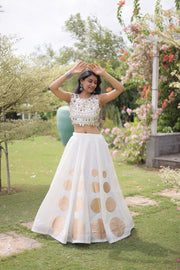 Women’s Lehenga Skirt with Mirror workSleeveless Blouse