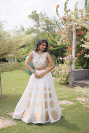 Women’s Lehenga Skirt with Mirror workSleeveless Blouse