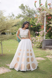 Women’s Lehenga Skirt with Mirror workSleeveless Blouse