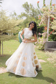 Women’s Lehenga Skirt with Mirror workSleeveless Blouse