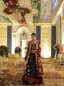Women’s Gujarati Navratri Chaniya Choli with Canvas Patta & Fancy Lace Strug