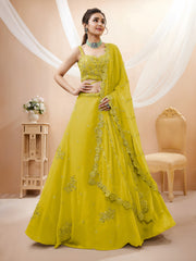 Women's Bandhej Mirror Work Lehenga Choli
