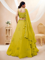 Women's Bandhej Mirror Work Lehenga Choli