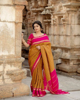Indian Traditional Saree for Wedding, Festival & Party Wear