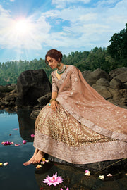 Women’s Treditional Embroidered Lehenga Choli with Dupatta.