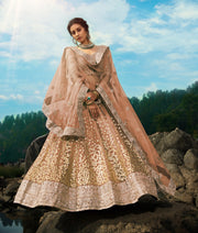 Women’s Treditional Embroidered Lehenga Choli with Dupatta.
