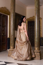 Women’s Treditional Lehenga Choli with Dupatta | Designer Indian Ethnic Wear.