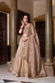 Women’s Treditional Lehenga Choli with Dupatta | Designer Indian Ethnic Wear.