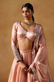 Designer Indian Ethnic Wear Lahenga Choli for Wedding, Festive & Party Wear.