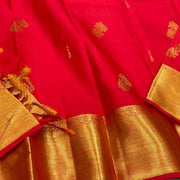 Indian Traditional Saree for Wedding, Festival, Party & Special Occasions